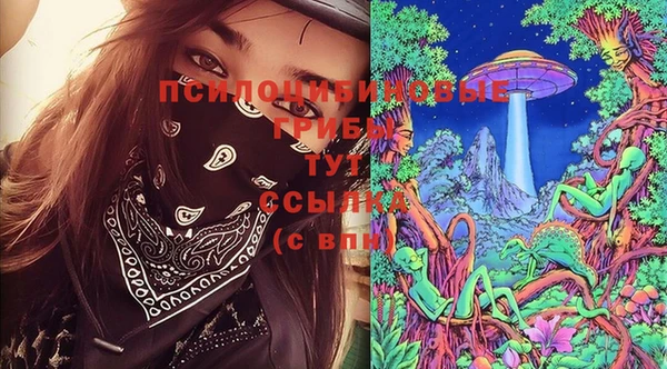 соль курить ск Сосновка