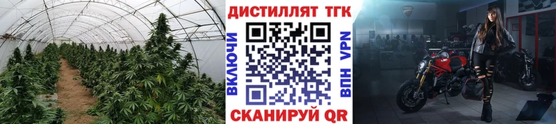KRAKEN зеркало  Верхоянск  ТГК THC oil 