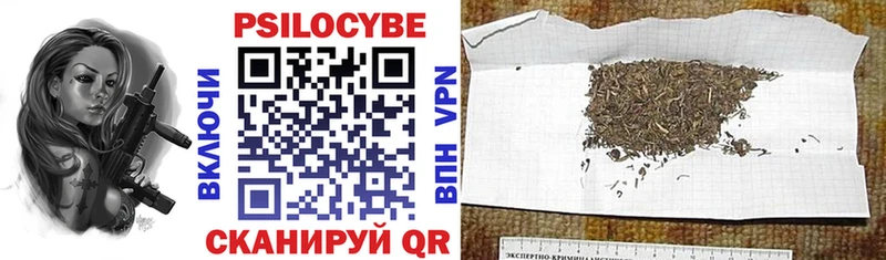 Псилоцибиновые грибы Psilocybine cubensis  купить закладку  Верхоянск 